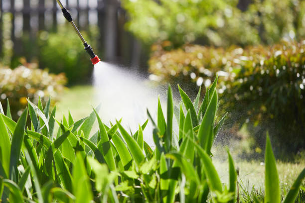 24/7 Emergency Fumigation Services experts in Arkadelphia, AR